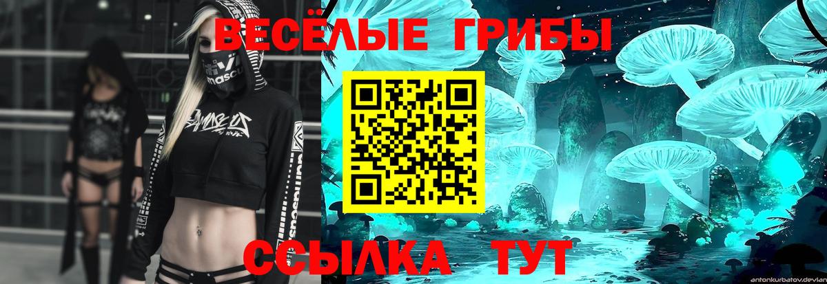 Псилоцибиновые грибы ЛСД  Псилоцибиновые грибы Psilocybine cubensis  Вход с VPN  Благодарный 